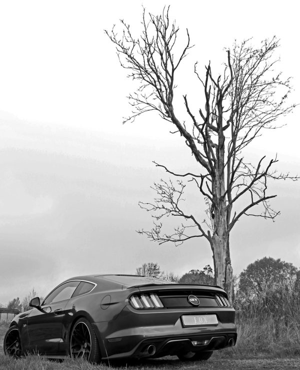 Ford Mustang Coupe & Cabrio - 6/8-Zylinder Endschalldämpfer rechts/links - 1x100 Typ 25 rechts/links – Bild 8